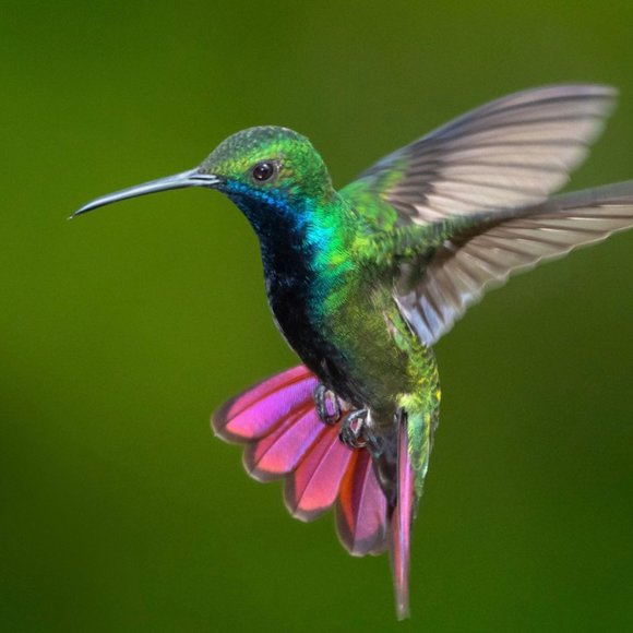 Infinite Love is the only Truth, every thing else is Illusion - Picture 3 of 13